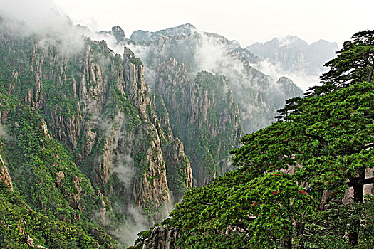 蓝精灵药在哪可以买到C1B8D97C5-18975